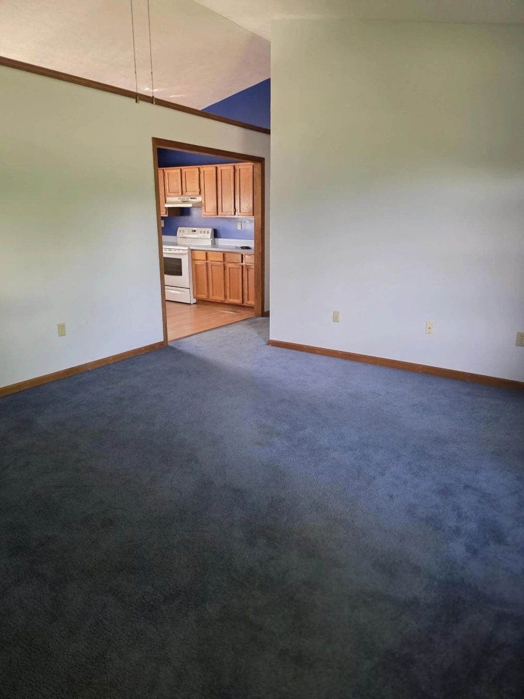 244 Hillside Dr - Photo 15