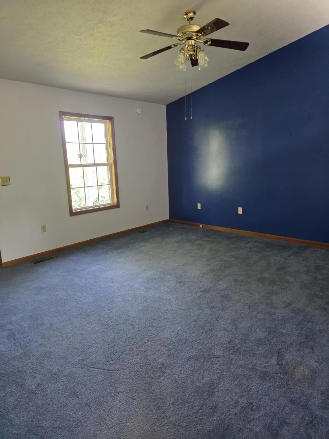 244 Hillside Dr - Photo 16