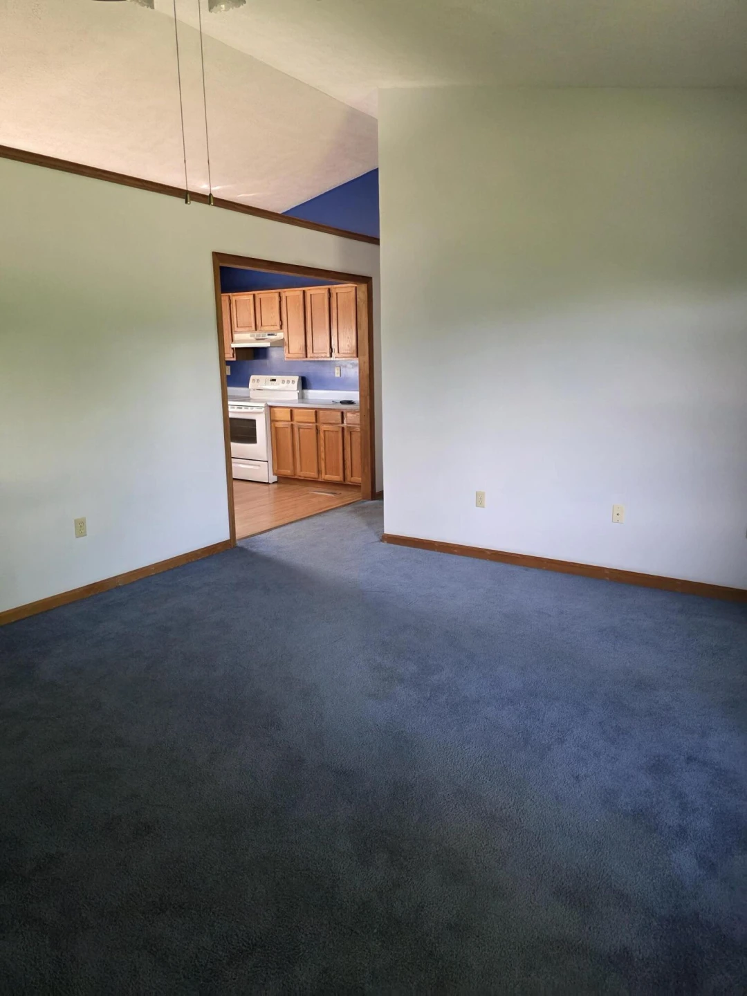 244 Hillside Dr - Photo 19