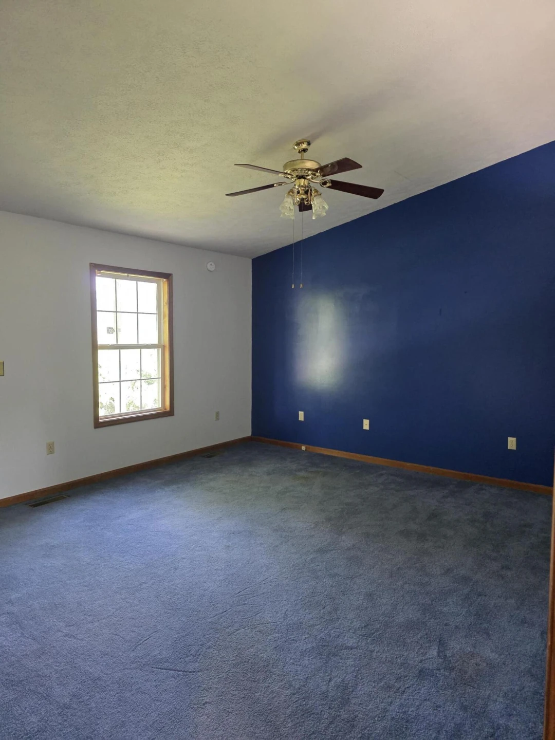244 Hillside Dr - Photo 20
