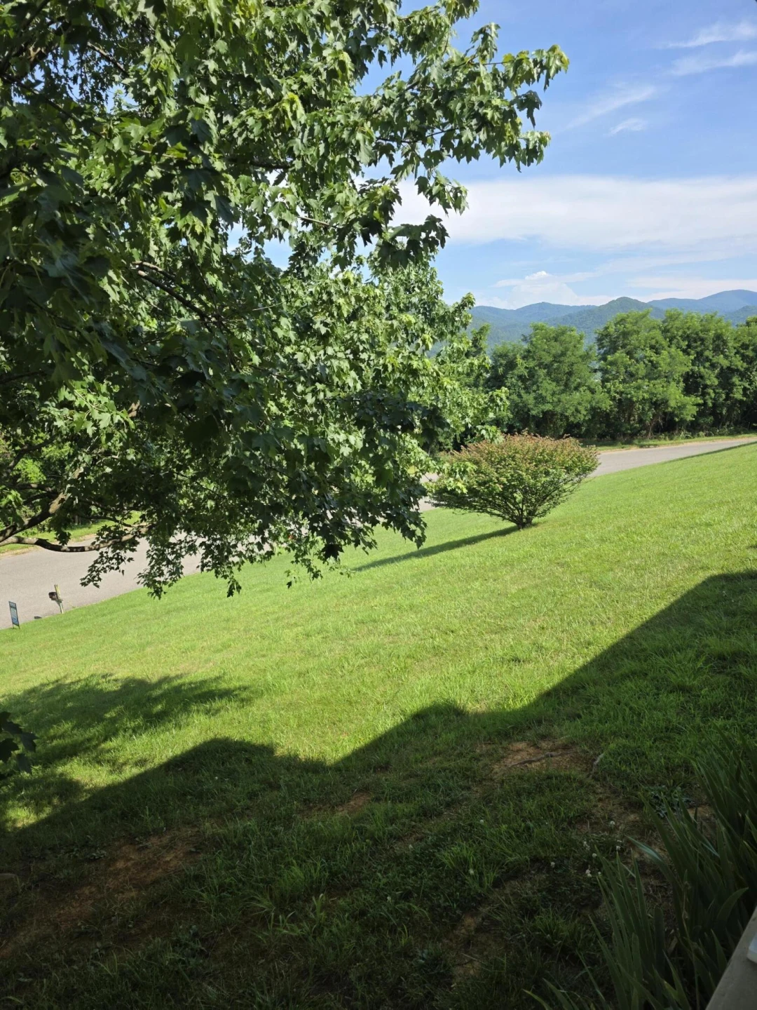 244 Hillside Dr - Photo 7