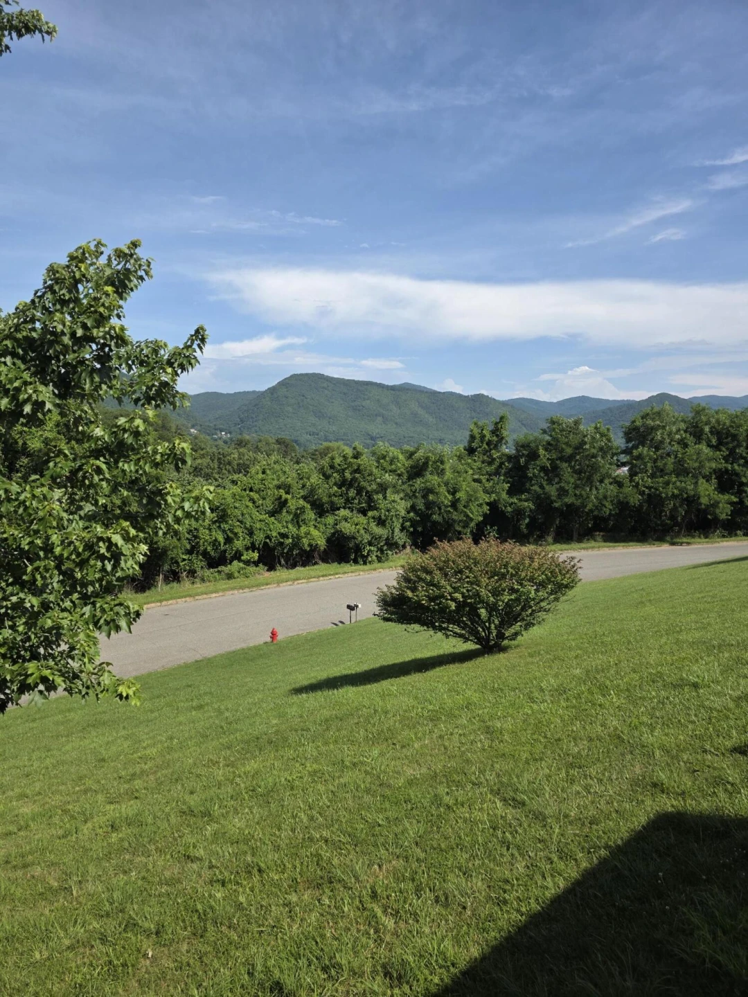 244 Hillside Dr - Photo 8