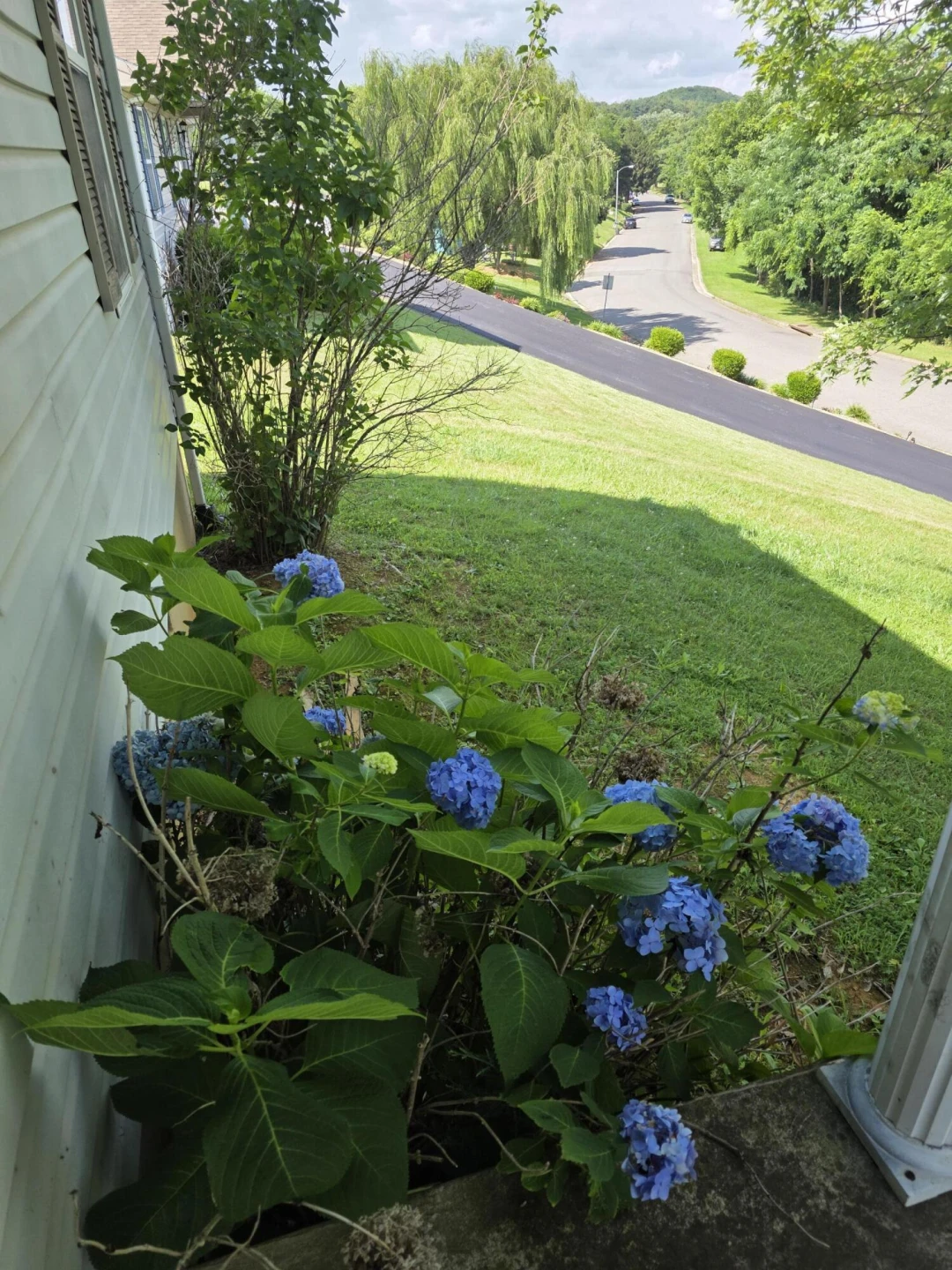 244 Hillside Dr - Photo 9