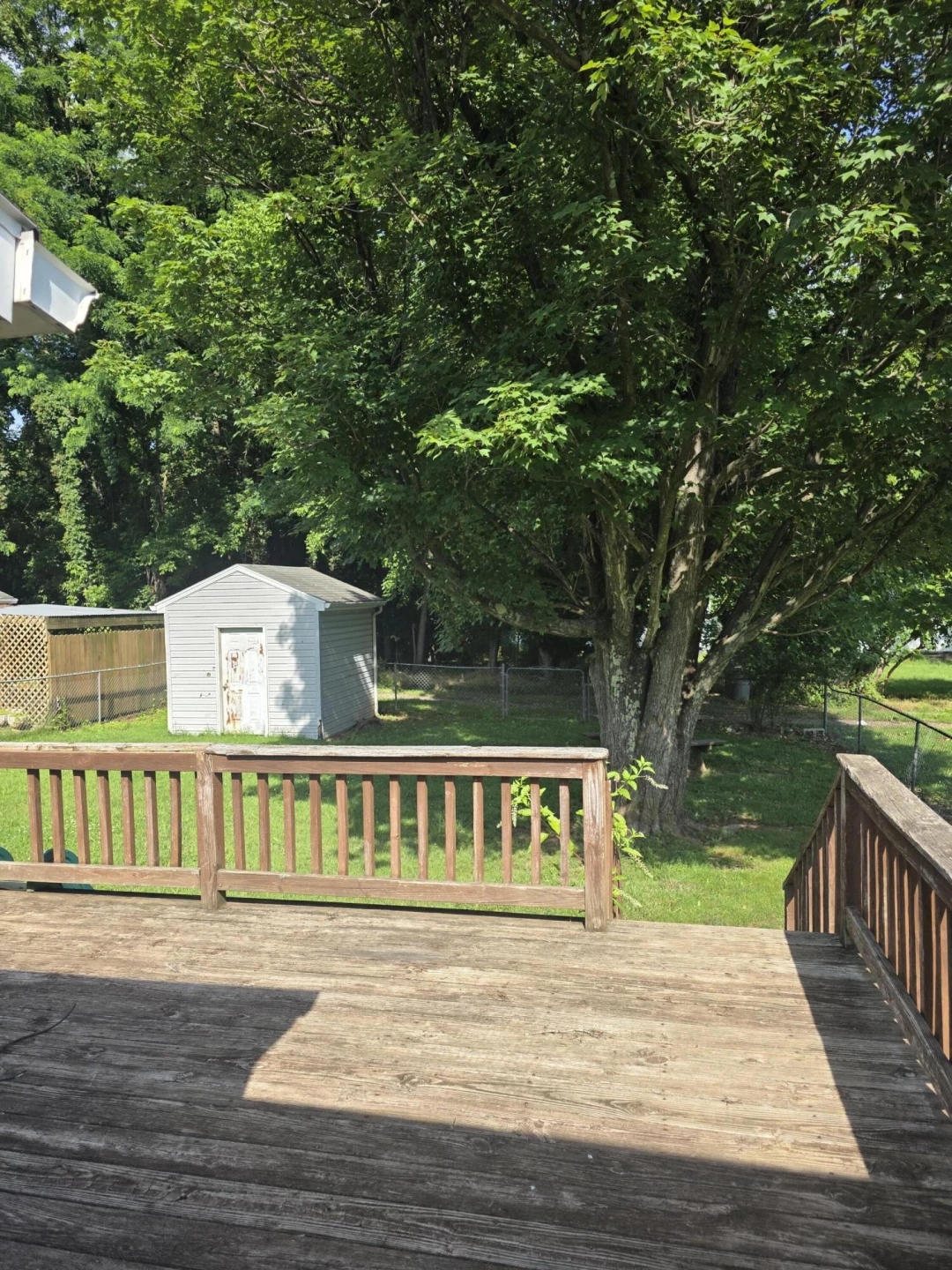 1255 Cedar Ave - Photo 8