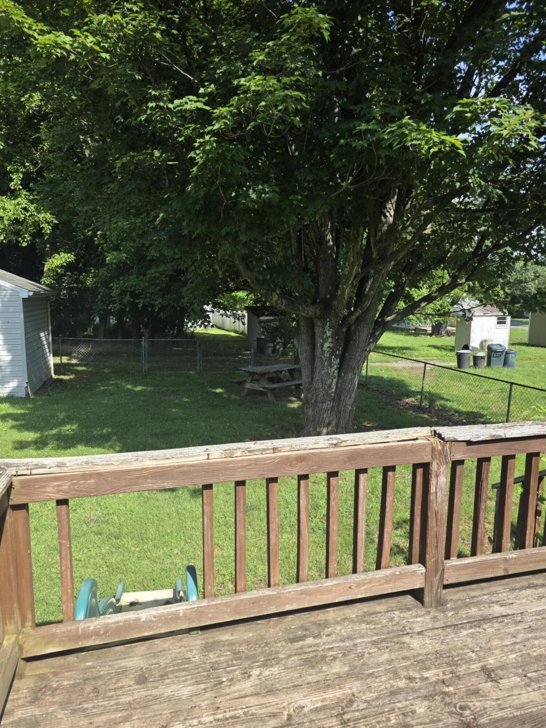 1255 Cedar Ave - Photo 9