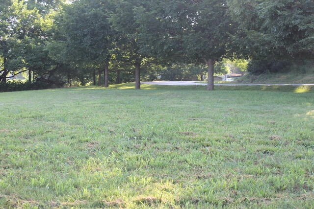 0 Cora Ln - Photo 10