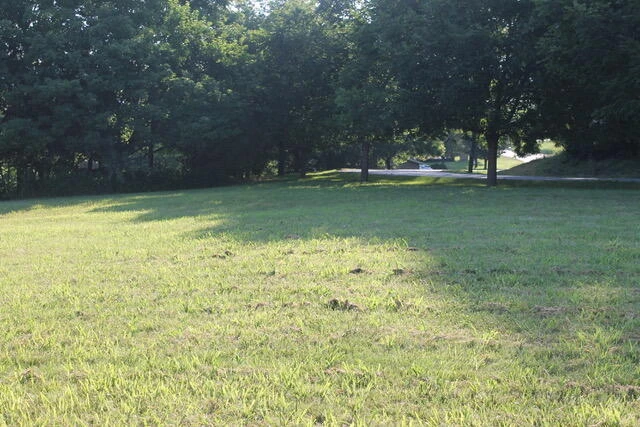 0 Cora Ln - Photo 11