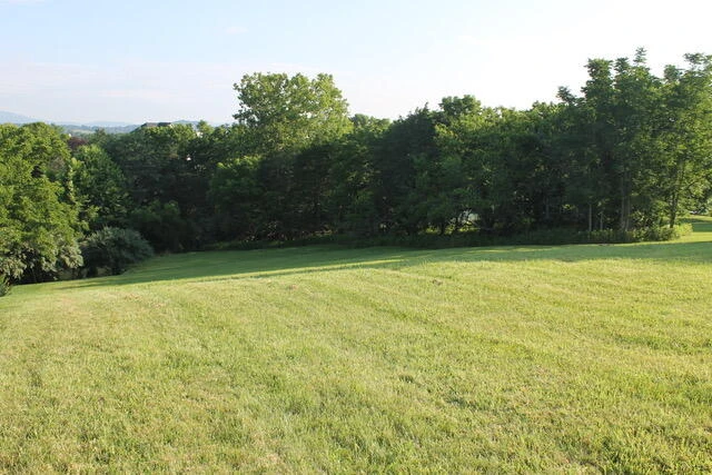 0 Cora Ln - Photo 12