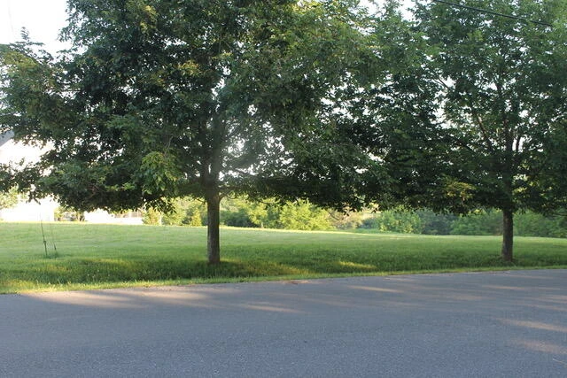 0 Cora Ln - Photo 2
