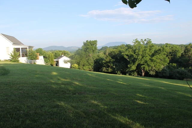 0 Cora Ln - Photo 3