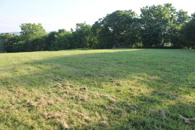 0 Cora Ln - Photo 9