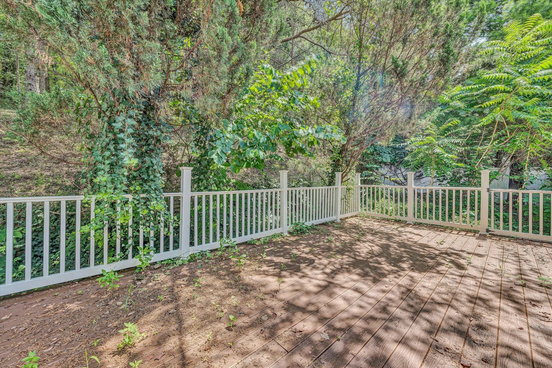 5224 Setter Rd - Photo 22