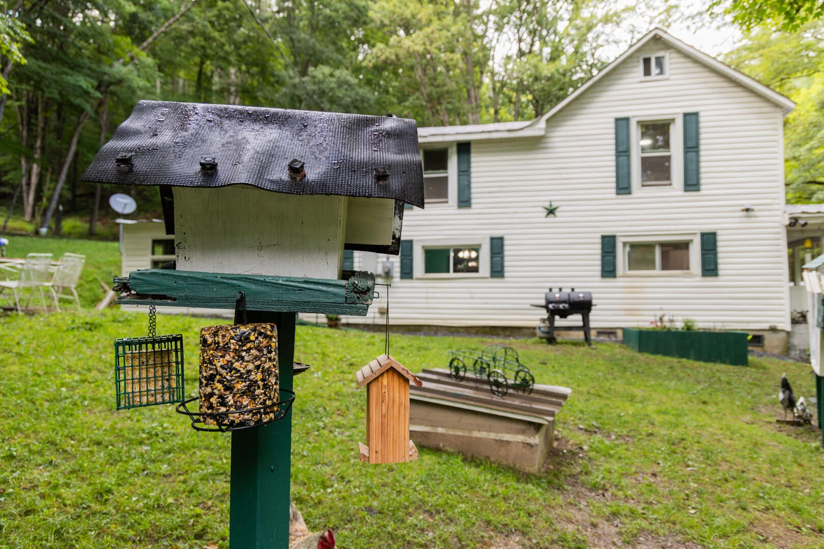5300 Big Ridge Rd - Photo 10