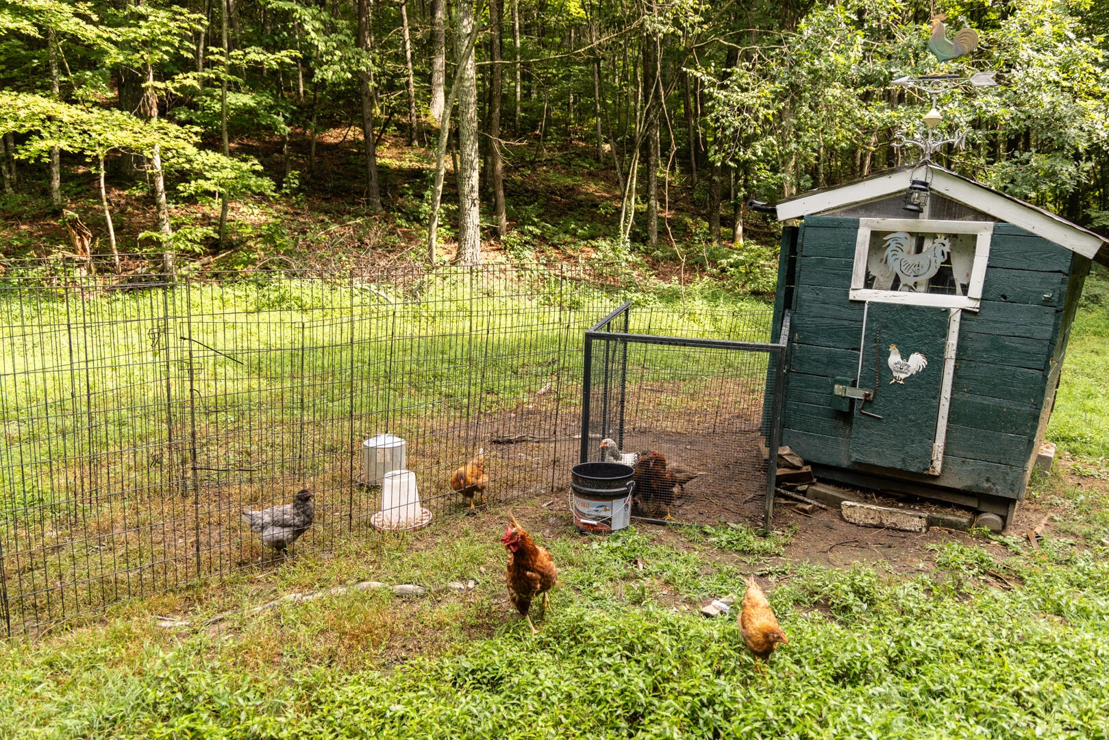 5300 Big Ridge Rd - Photo 11