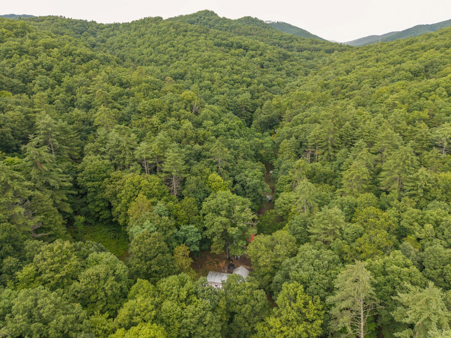 5300 Big Ridge Rd - Photo 2