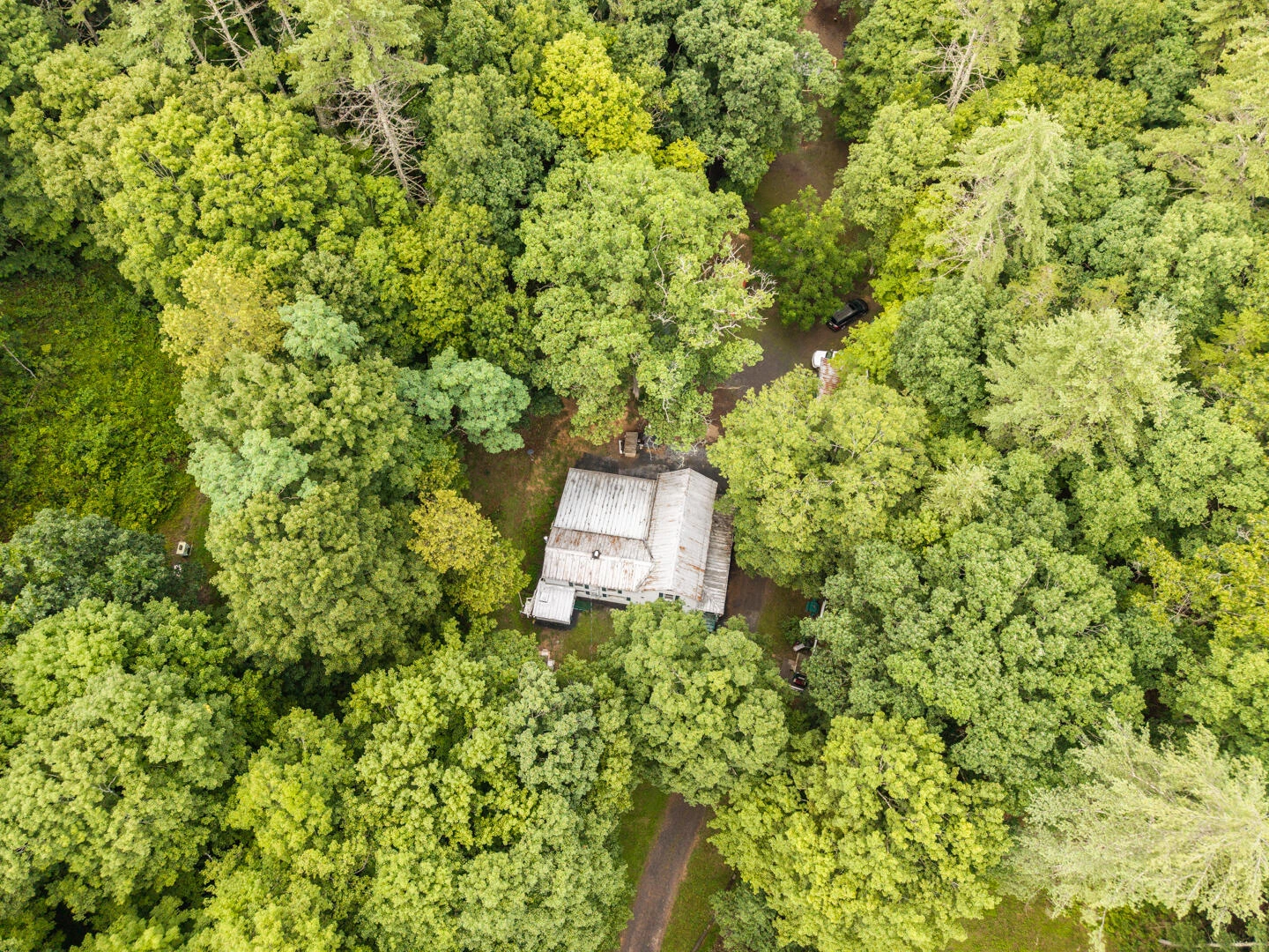 5300 Big Ridge Rd - Photo 21