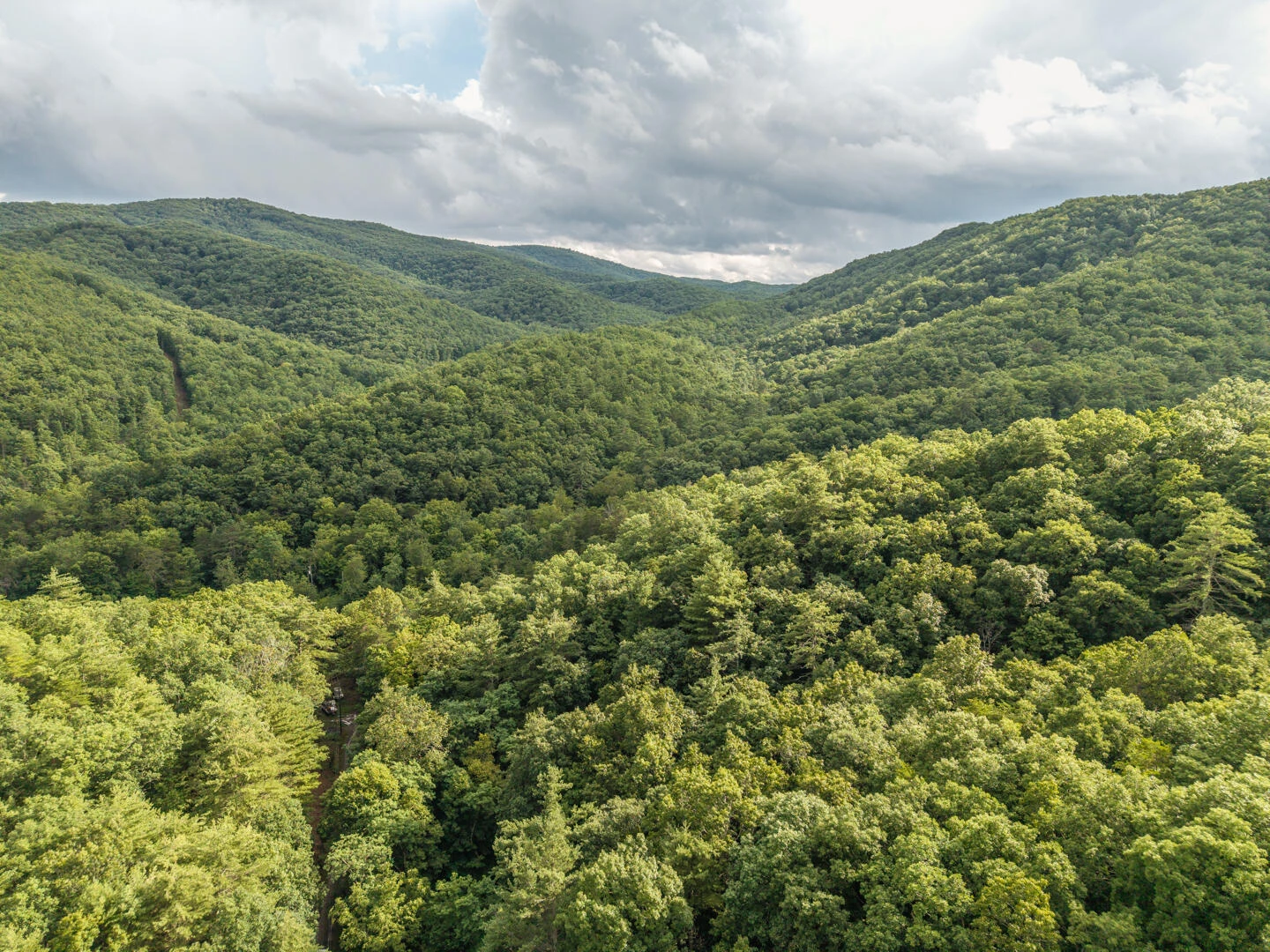5300 Big Ridge Rd - Photo 23