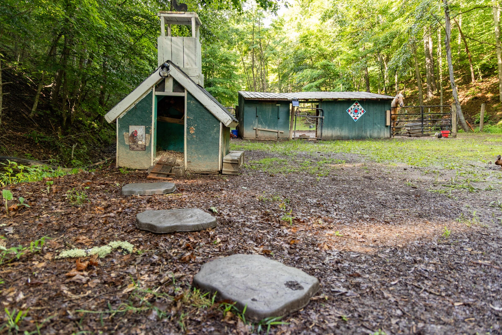 5300 Big Ridge Rd - Photo 27