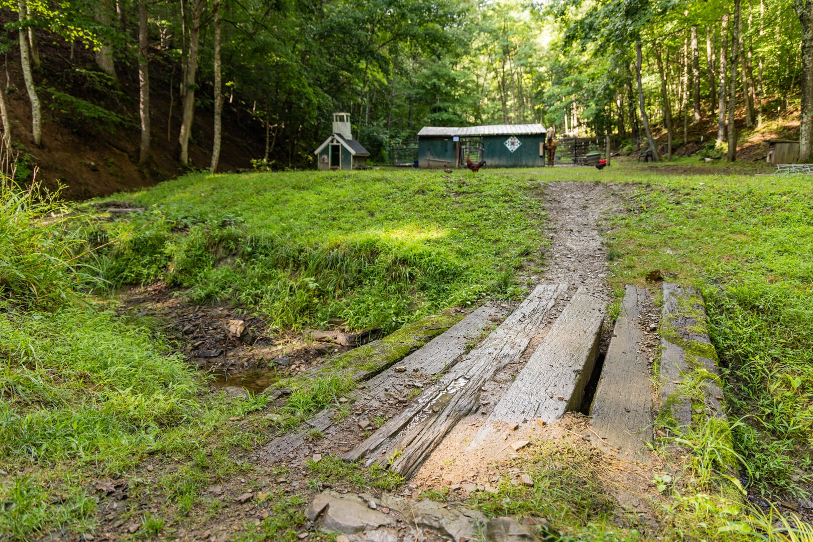 5300 Big Ridge Rd - Photo 28