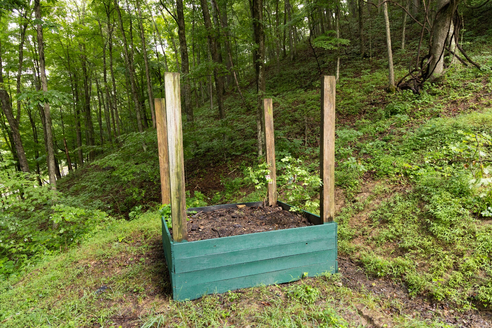 5300 Big Ridge Rd - Photo 32