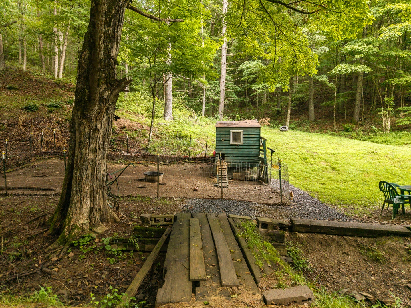 5300 Big Ridge Rd - Photo 53