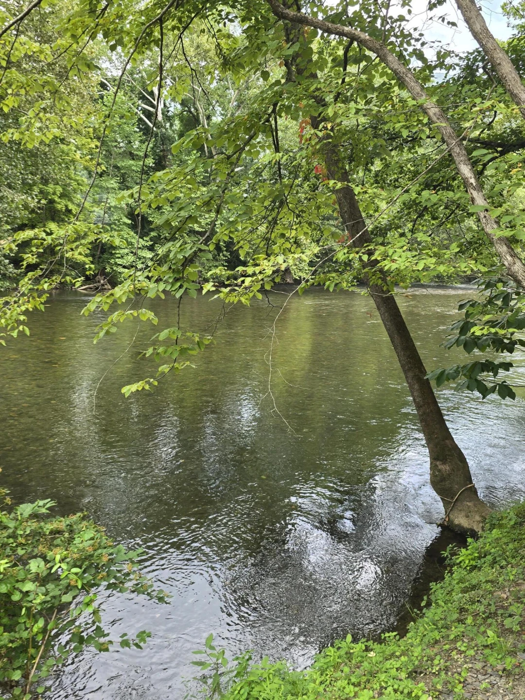 107 N River Rd - Photo 17