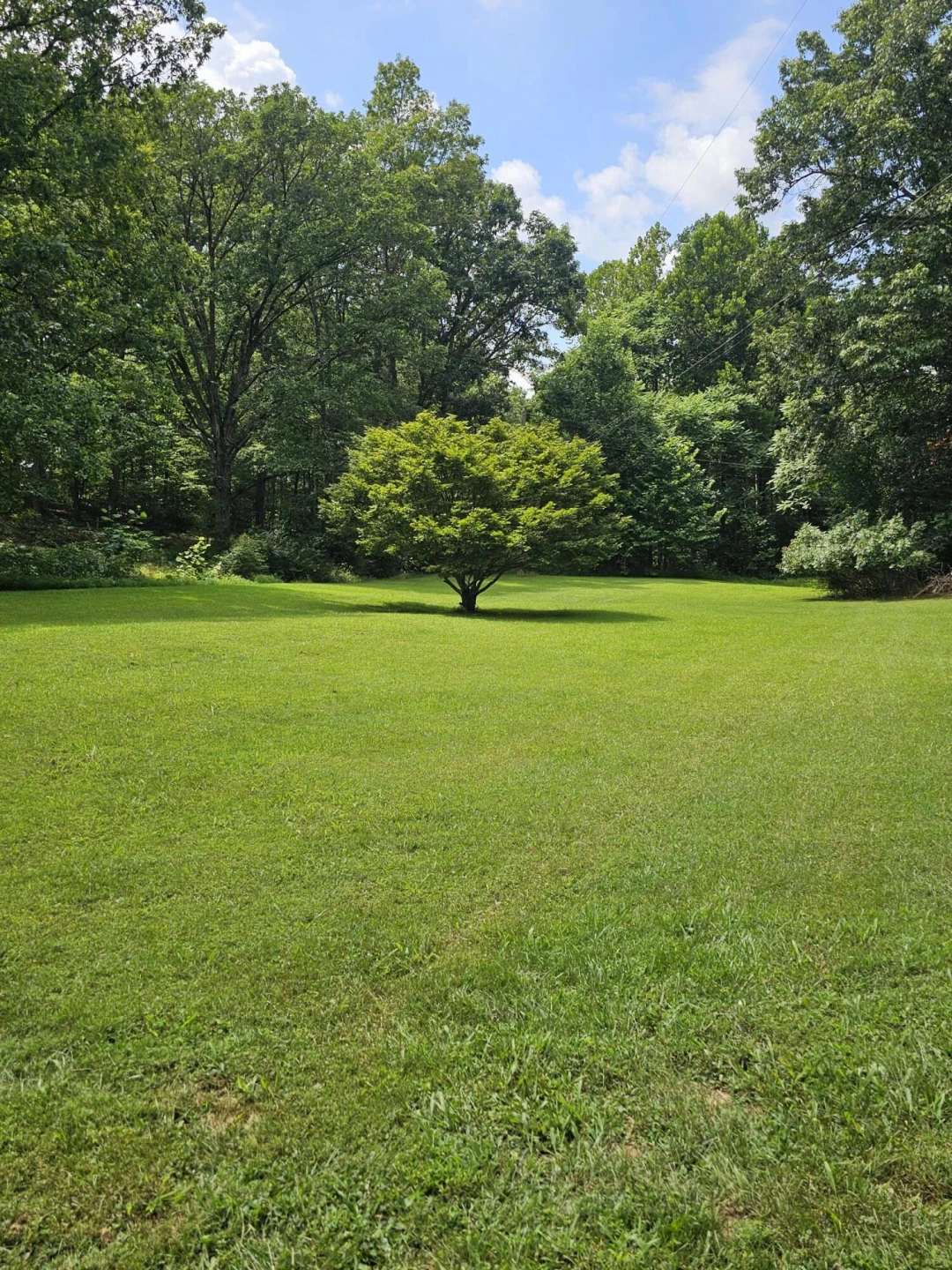 259 Stoney Run Rd - Photo 4