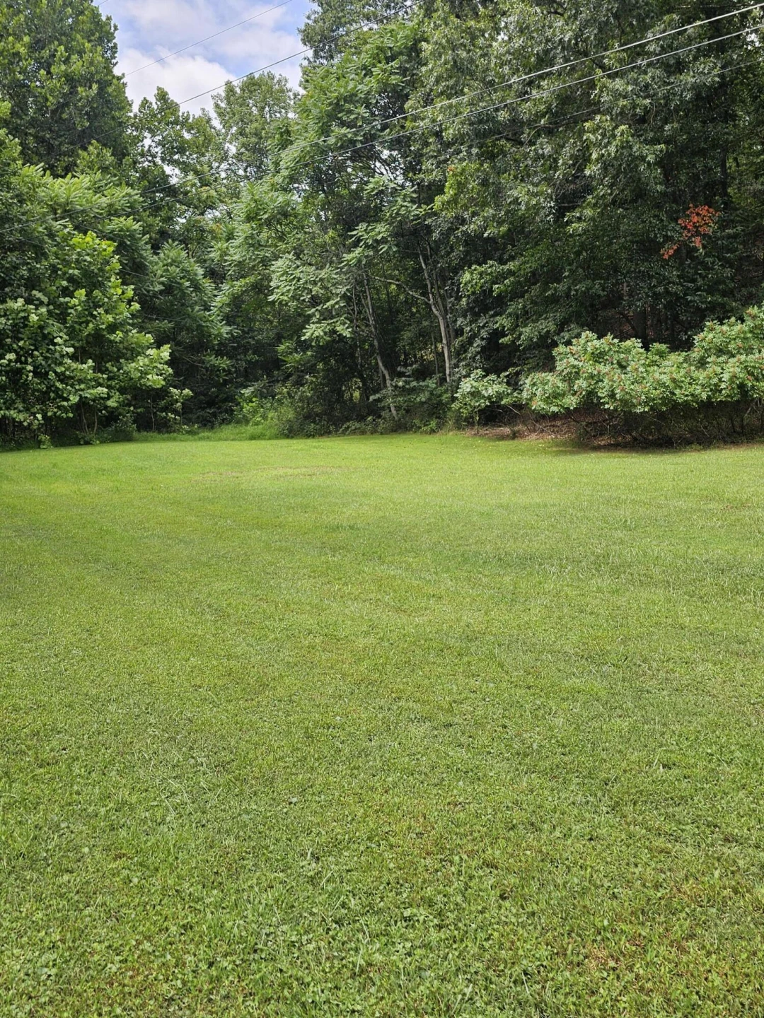 259 Stoney Run Rd - Photo 5