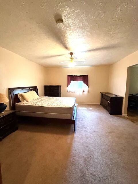 402 E Parrish St - Photo 13