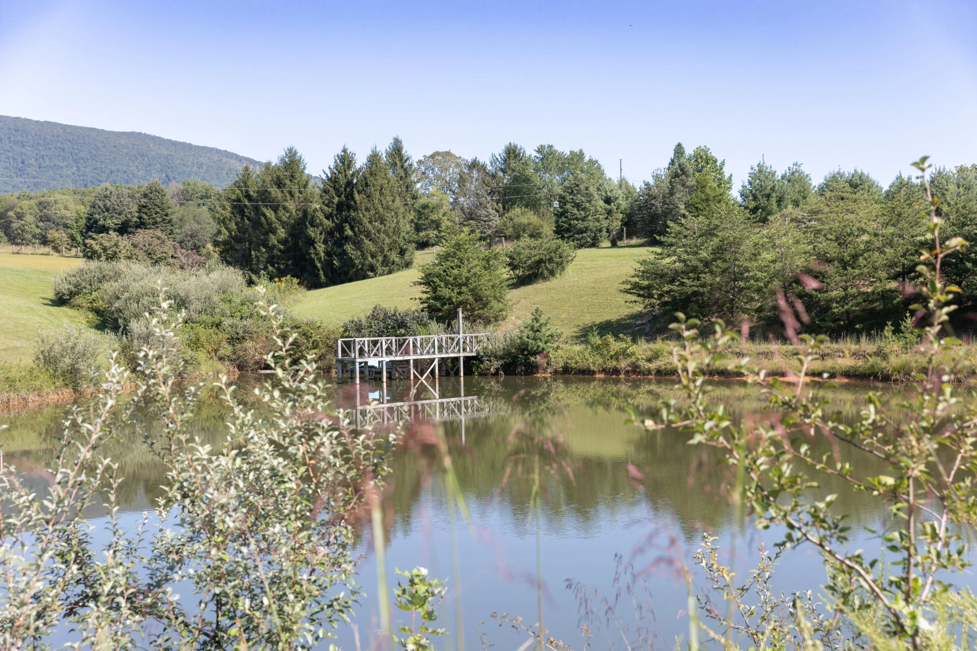 842 Adair Hill Dr - Photo 20