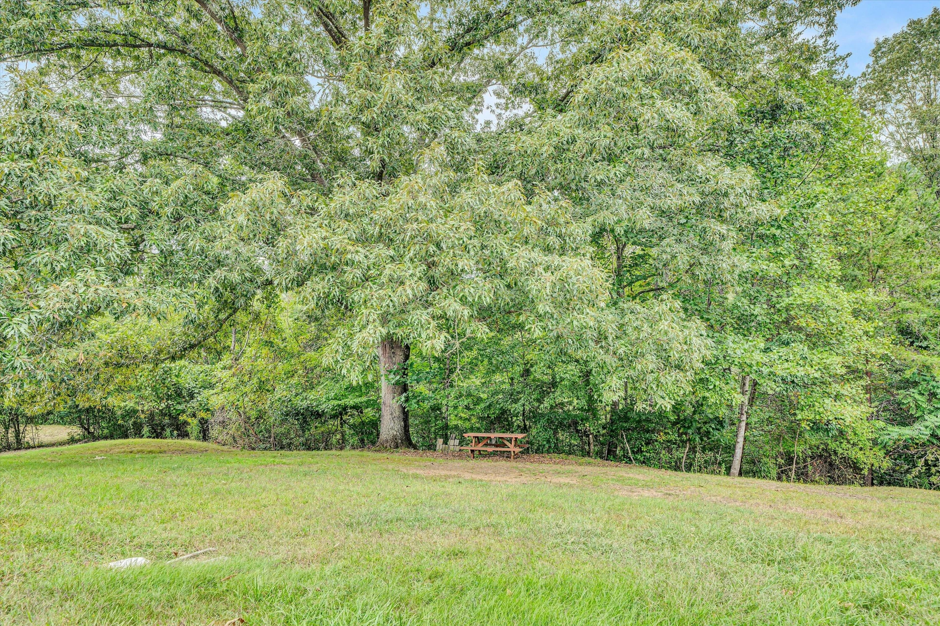 748 Shafer Ln - Photo 40