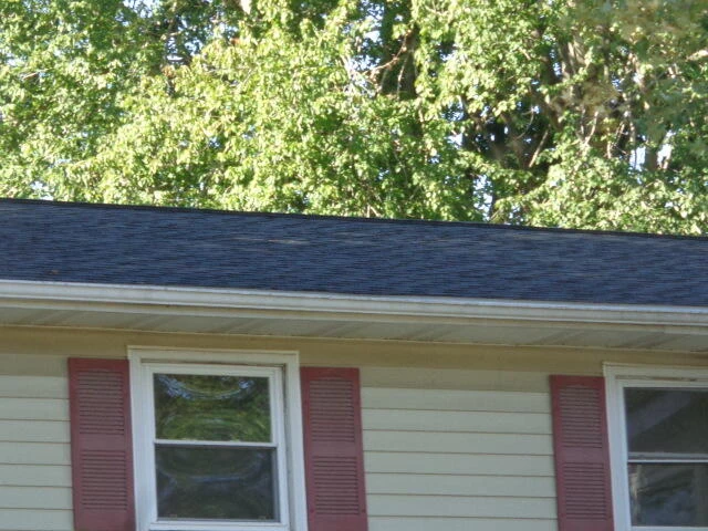 213 E 35th St - Photo 4