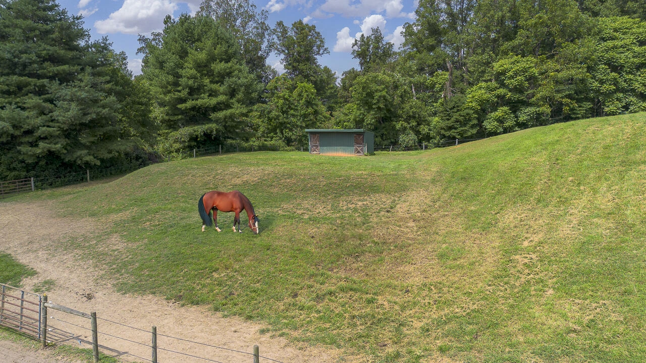 9195 Springwood Rd - Photo 25