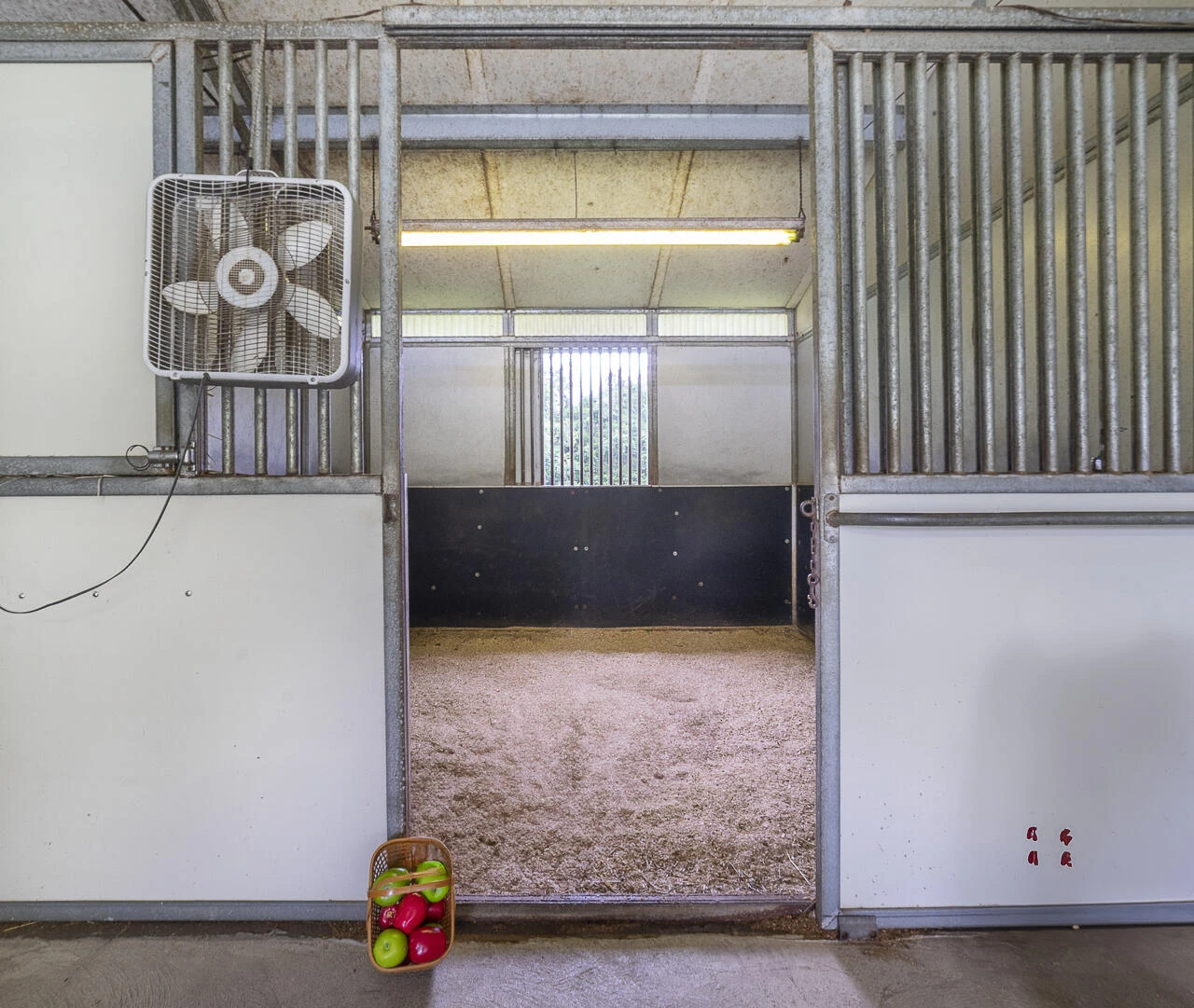 9195 Springwood Rd - Photo 41