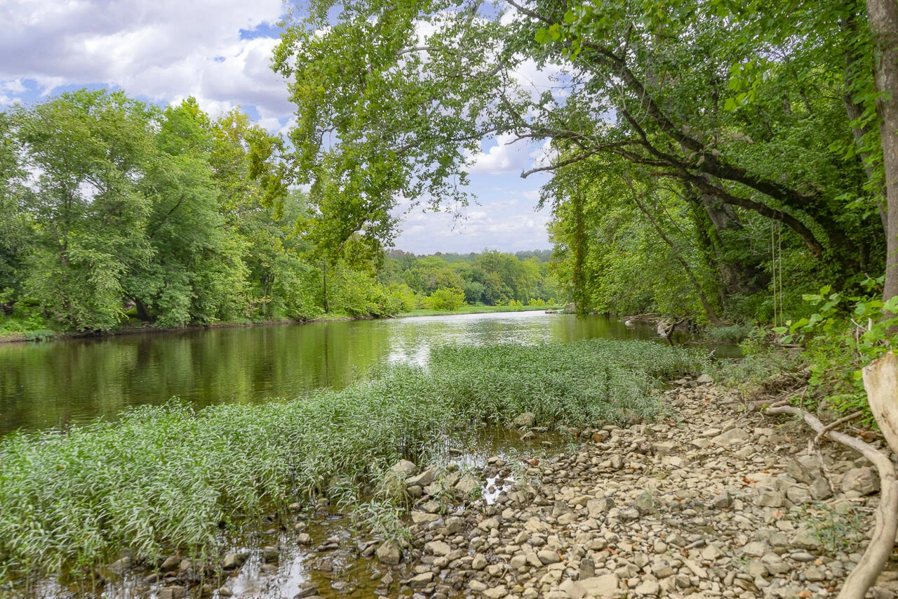 9195 Springwood Rd - Photo 74