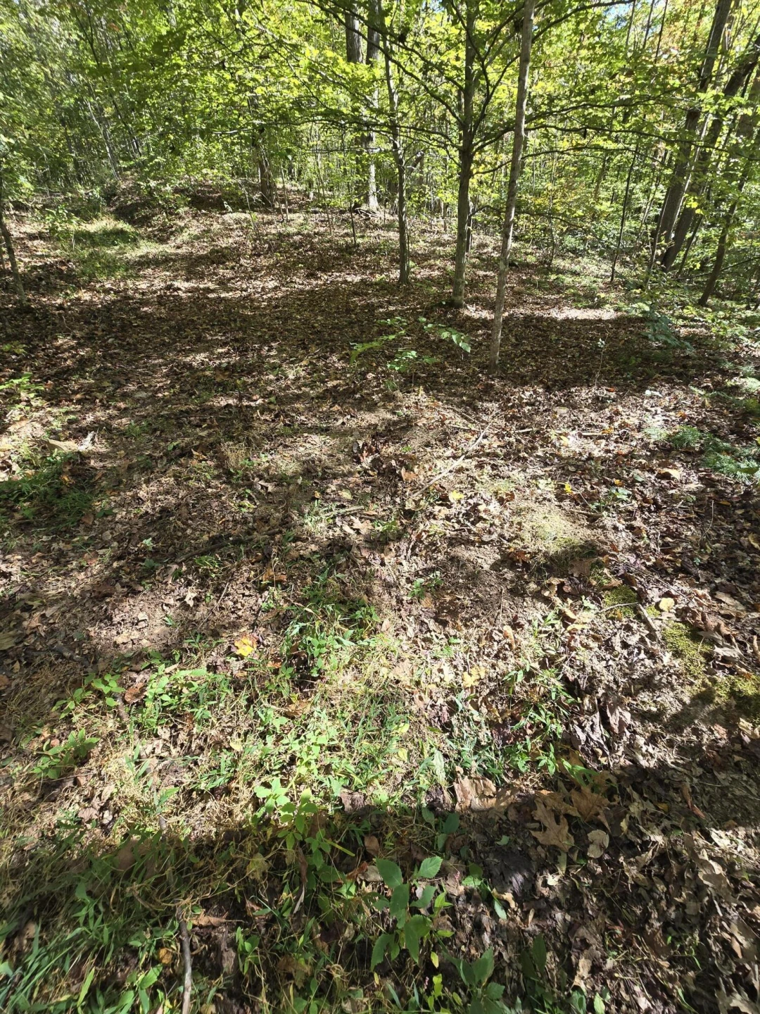 0 Salisbury Rd. Rd - Photo 22
