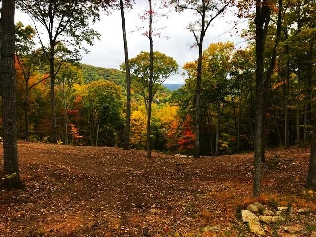 DR Lot #60 North Forest Trl
