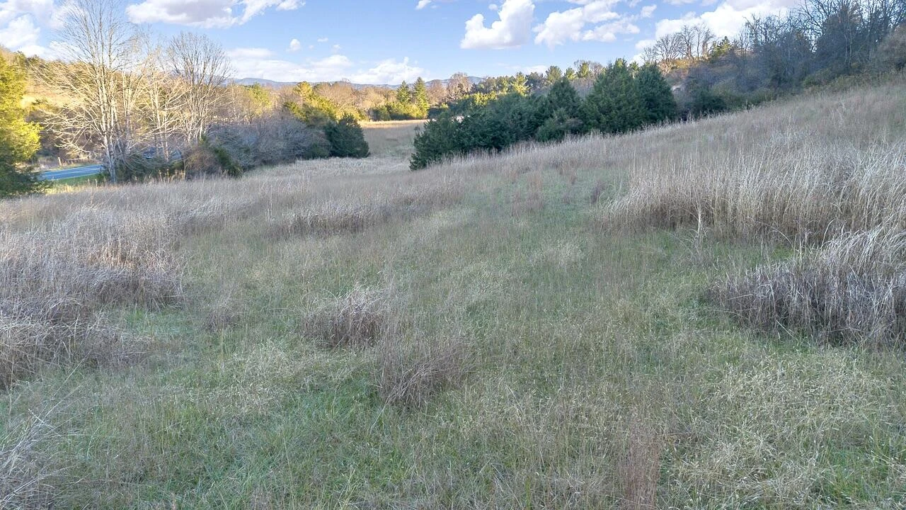 TBD Buckland Dr - Photo 3