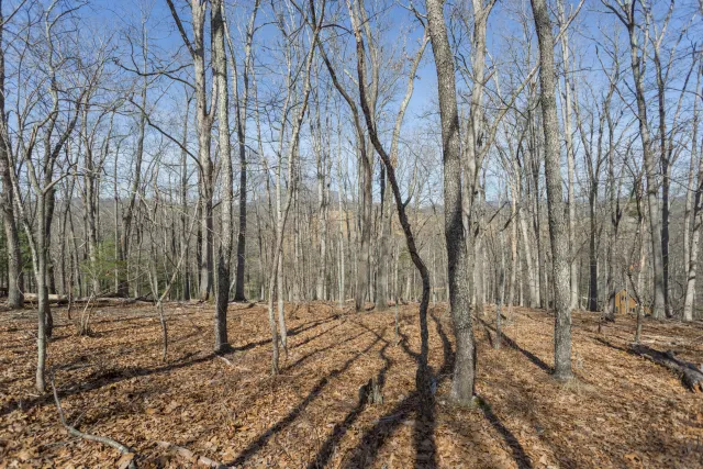 Lot 3 Forest Hill View, Lexington, VA, 24450