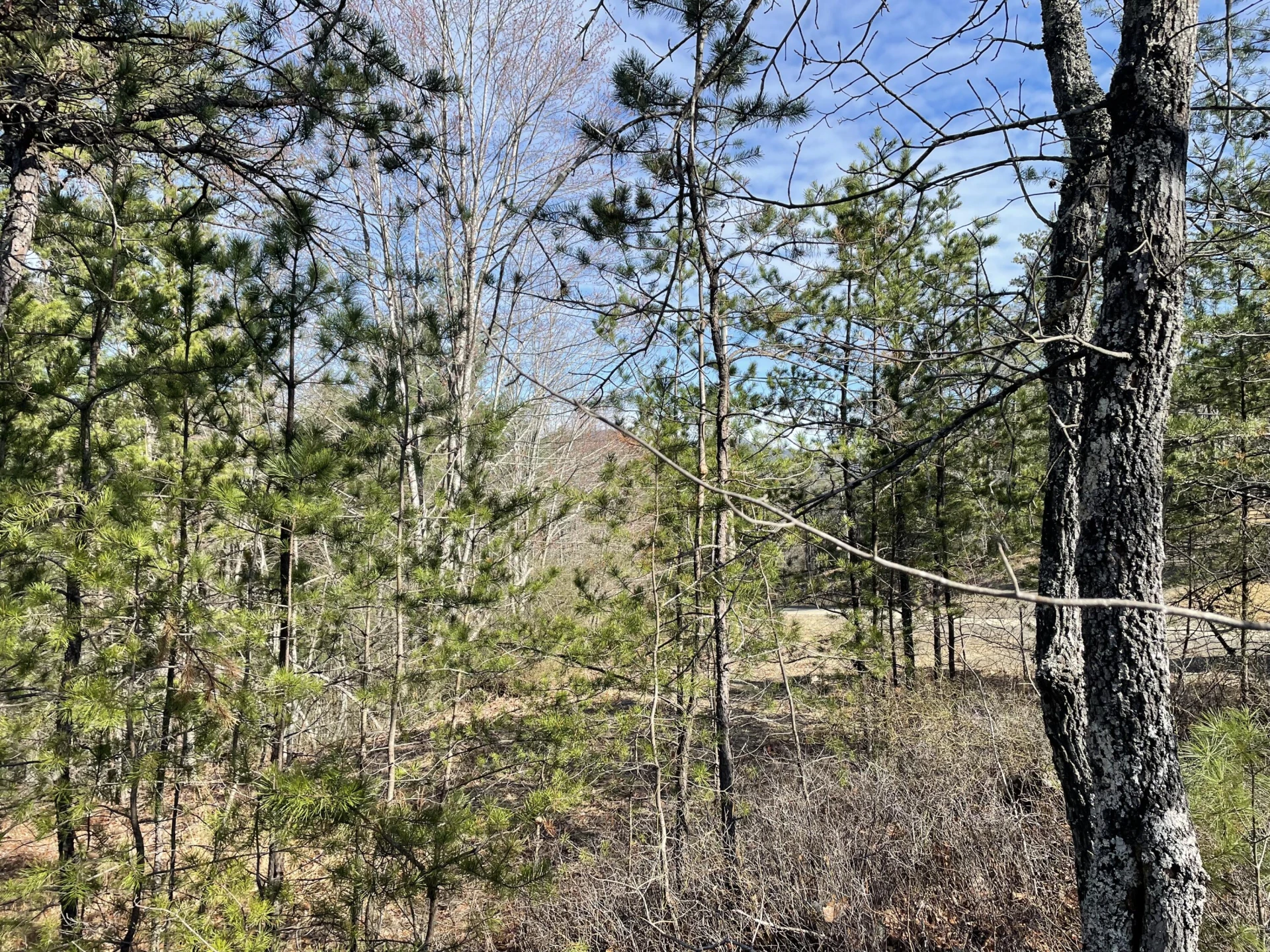 TBD Game Trail Way - Photo 10