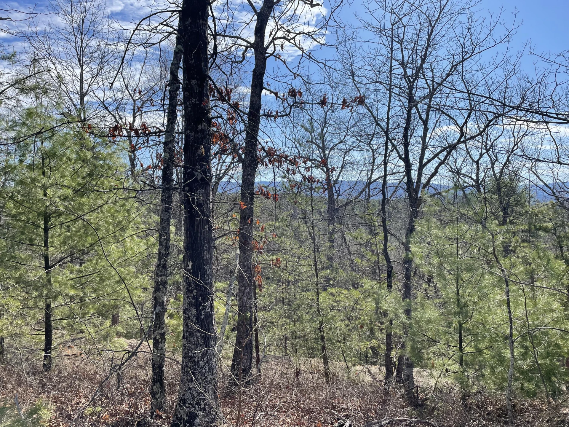 TBD Game Trail Way - Photo 9