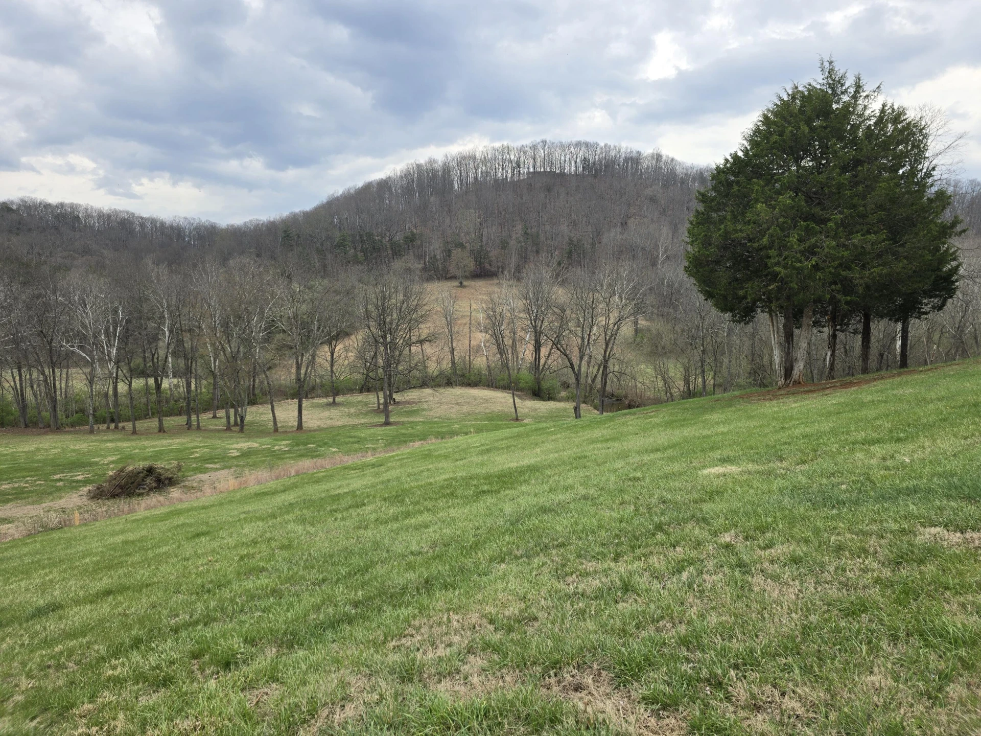 12106 Lee Highway - Photo 32