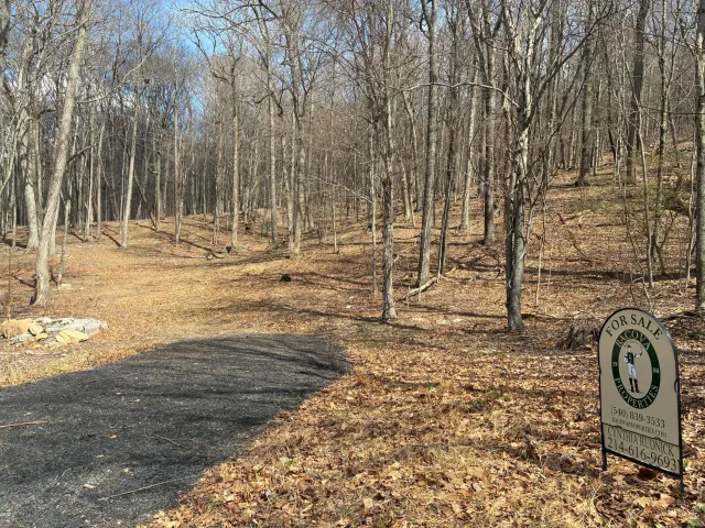 SM # 101 Overlook Dr, Hot Springs, VA, 24445