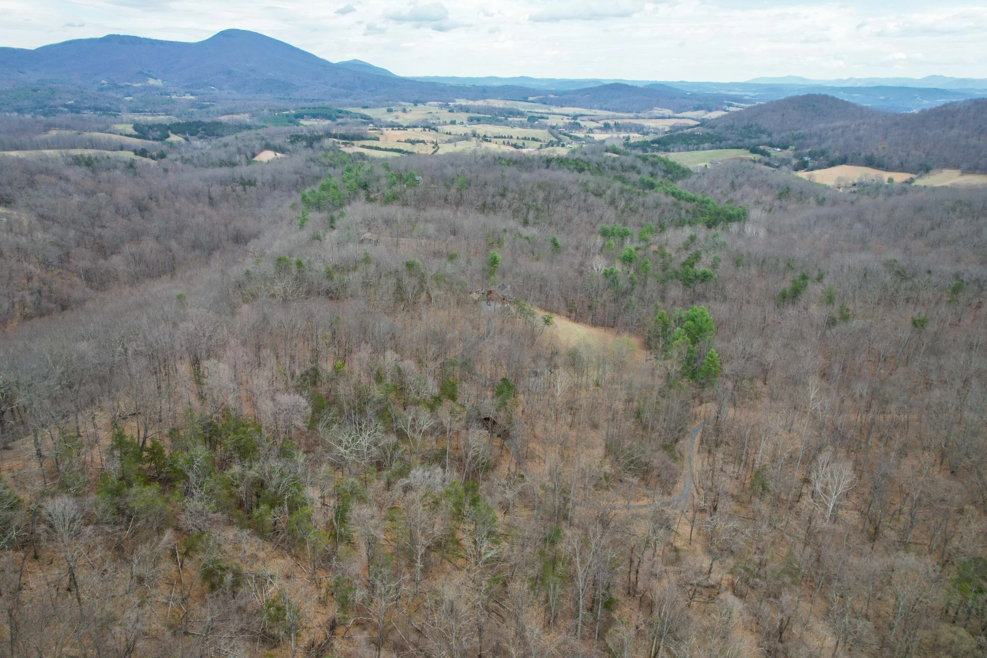 448 HOLLOW Ln - Photo 5
