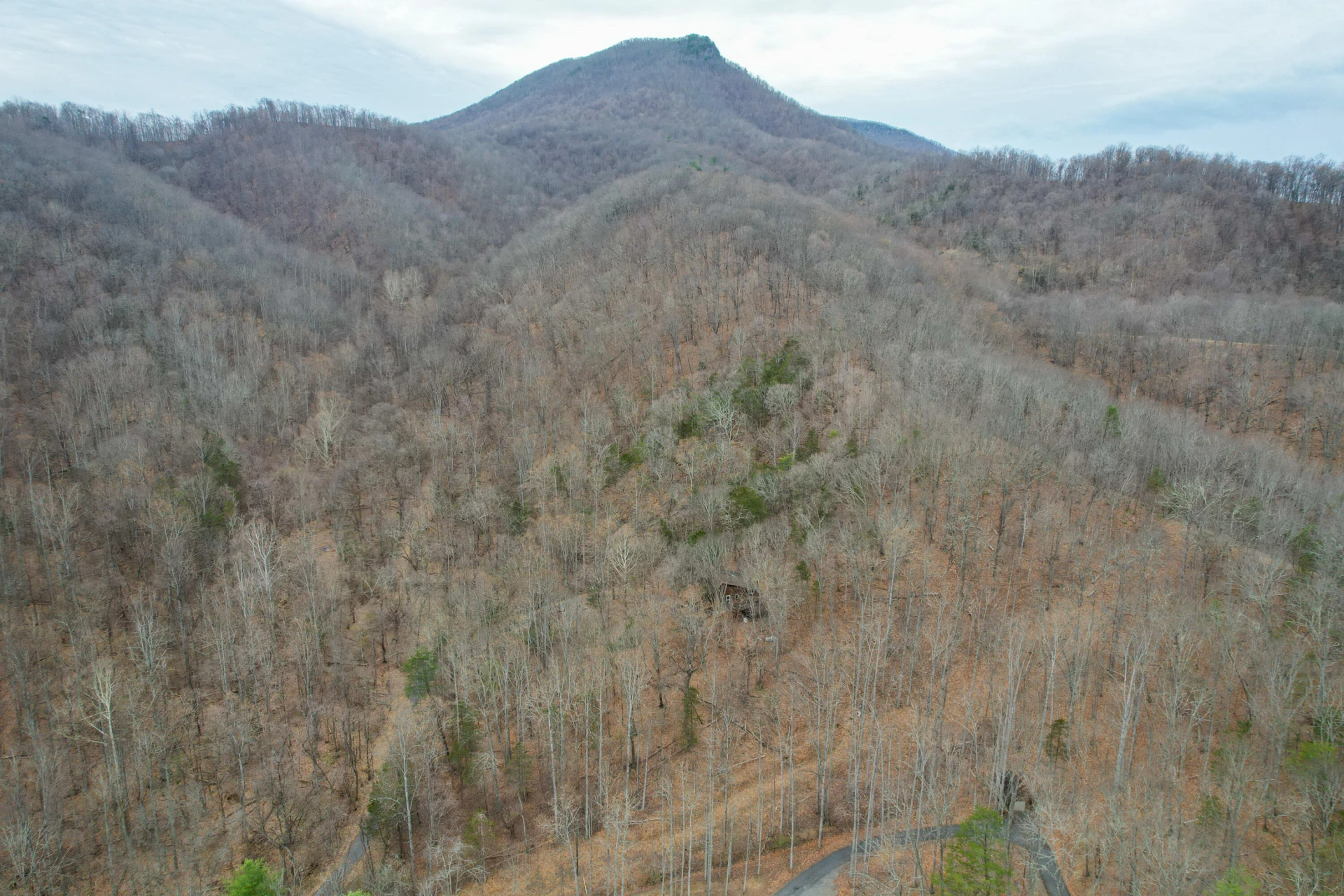 448 HOLLOW Ln - Photo 6