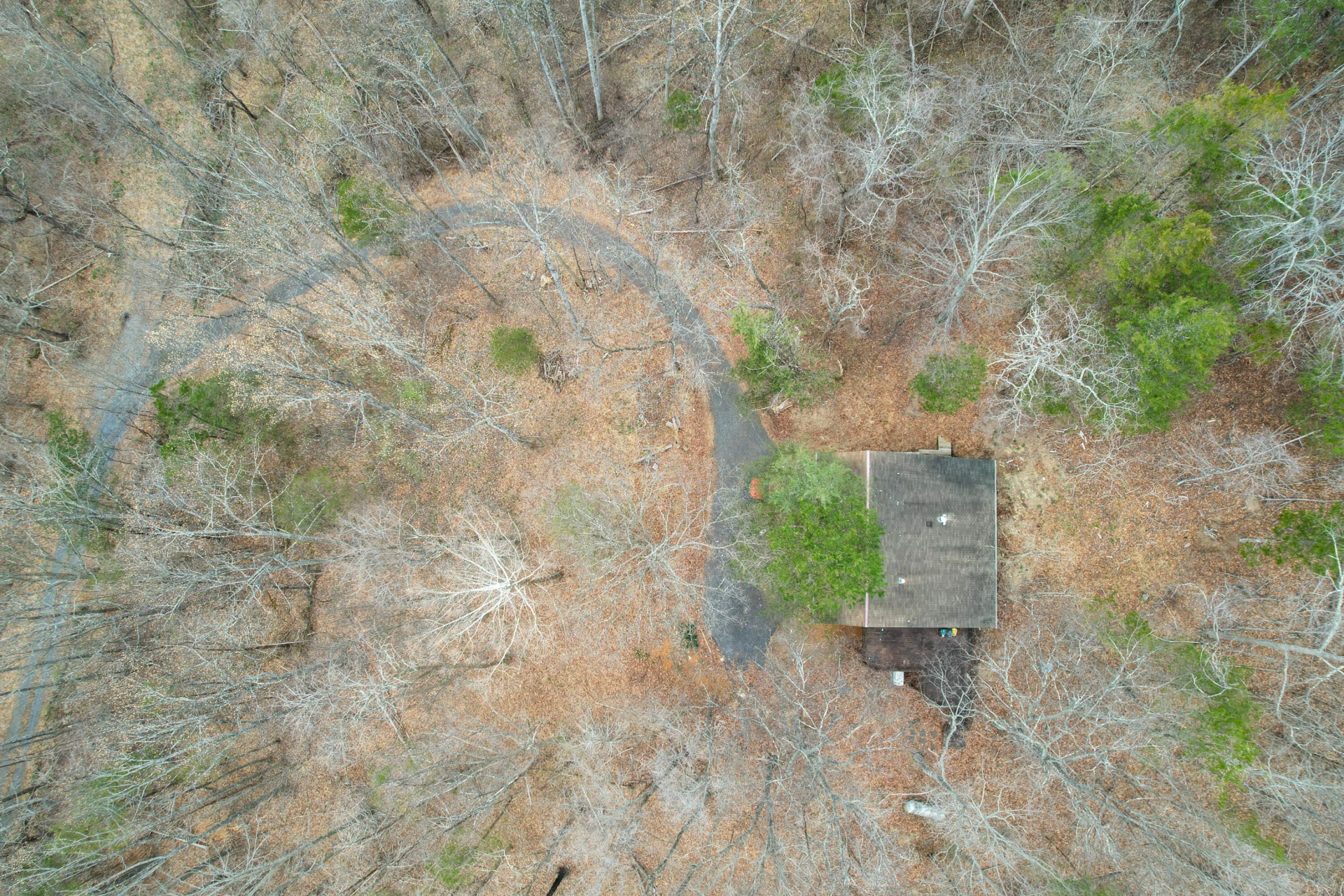 448 HOLLOW Ln - Photo 9
