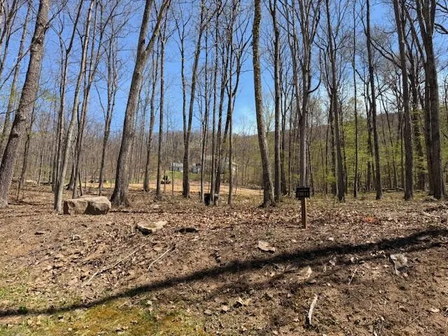 Tract 11 Delafield Rd, Hot Springs, VA, 24445