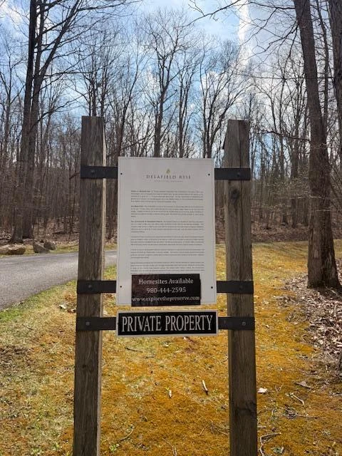 Tract 11 Delafield Rd - Photo 3
