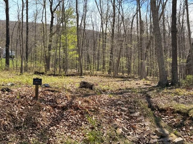 Tract 12 Delafield Rd