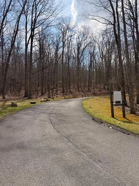 Tract 12 Delafield Rd - Photo 3